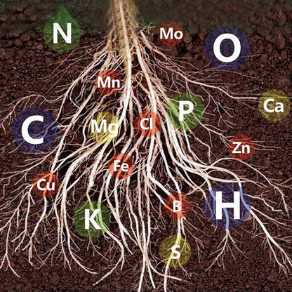 LIQUIDO CRECIMIENTO PARA PLANTAS